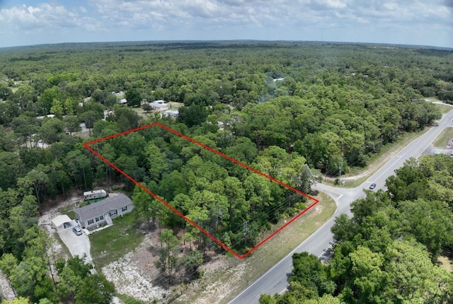 2994 S Pine Ridge Ave, Homosassa, FL 34448 - photo 3