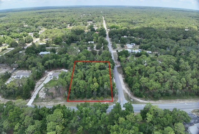 2994 S Pine Ridge Ave, Homosassa, FL 34448 - photo 4