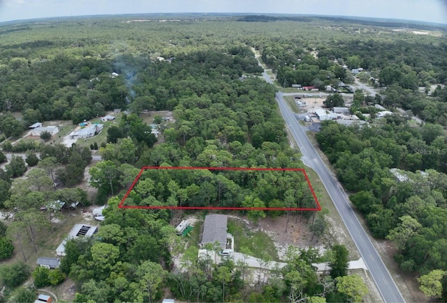 2994 S Pine Ridge Ave, Homosassa, FL 34448 - photo 5
