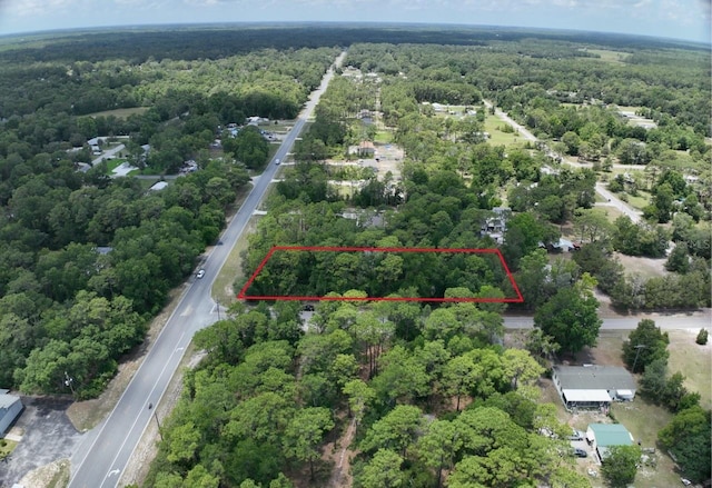 2994 S Pine Ridge Ave, Homosassa, FL 34448 - photo 6