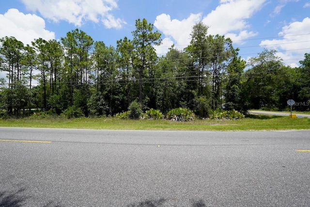 2994 S Pine Ridge Ave, Homosassa, FL 34448 - photo 7