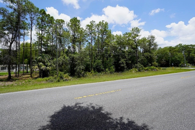 2994 S Pine Ridge Ave, Homosassa, FL 34448 - photo 9