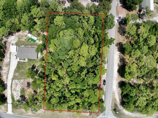 2994 S Pine Ridge Ave, Homosassa, FL 34448 - photo 13