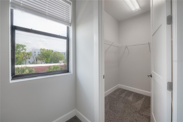 1330 W Gray St Unit 1, Tampa, FL 33606 - spacious closet featuring carpet floors