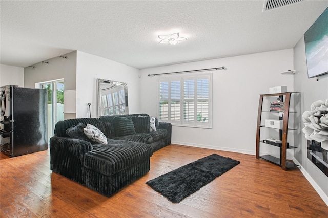 10233 Opaline Sky Pl, Riverview, FL 33578 - living area featuring wood finished floors, a textured ceiling, and baseboards
