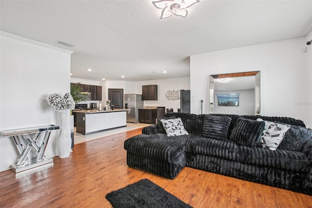 10233 Opaline Sky Pl, Riverview, FL 33578 - living room with light wood finished floors and recessed lighting
