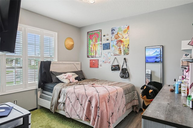 10233 Opaline Sky Pl, Riverview, FL 33578 - bedroom featuring wood finished floors