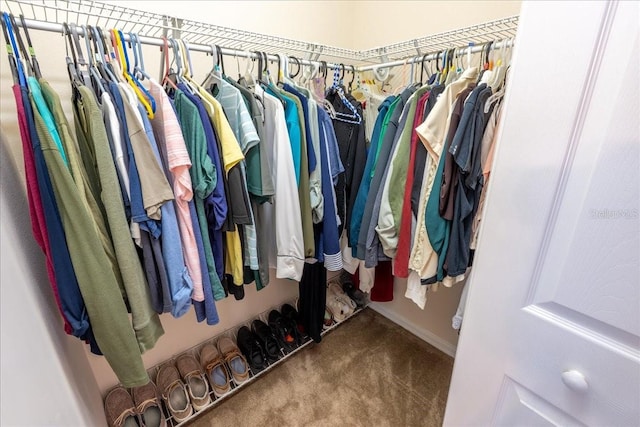 2826 Martha Ln, Land O Lakes, FL 34639 - spacious closet featuring carpet flooring
