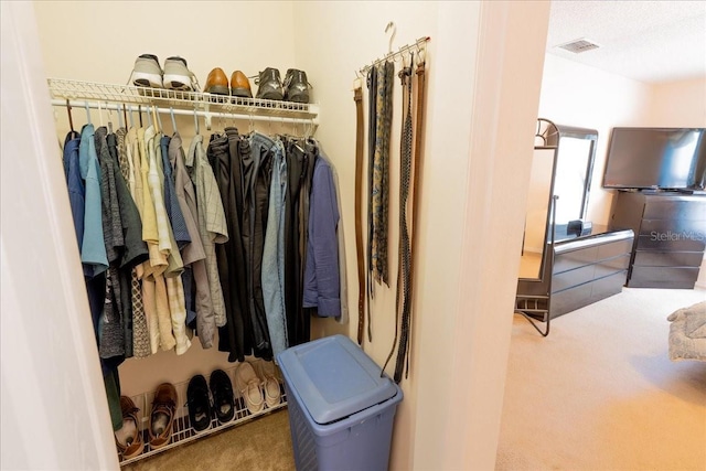 2826 Martha Ln, Land O Lakes, FL 34639 - spacious closet with carpet floors
