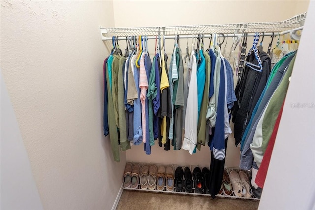 2826 Martha Ln, Land O Lakes, FL 34639 - spacious closet with carpet flooring