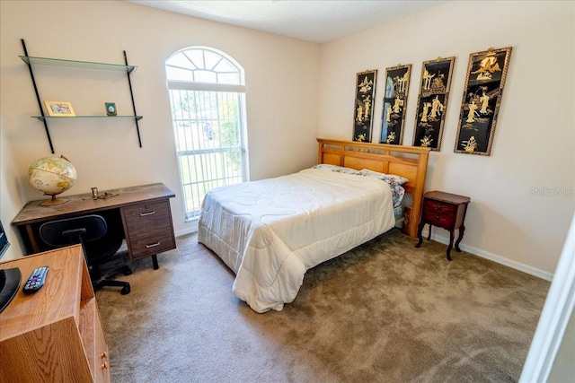 2826 Martha Ln, Land O Lakes, FL 34639 - carpeted bedroom featuring a desk