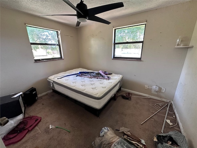 314 Dickman Dr SW, Ruskin, FL 33570 - carpeted bedroom featuring multiple windows, a textured ceiling, a ceiling fan, and baseboards