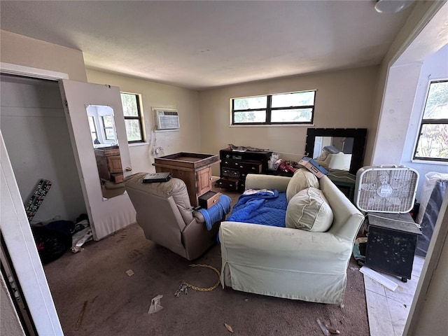314 Dickman Dr SW, Ruskin, FL 33570 - living area with plenty of natural light and an AC wall unit
