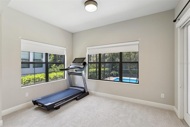 14715 Fishhawk Preserve Dr, Lithia, FL 33547 - exercise area featuring carpet floors and baseboards