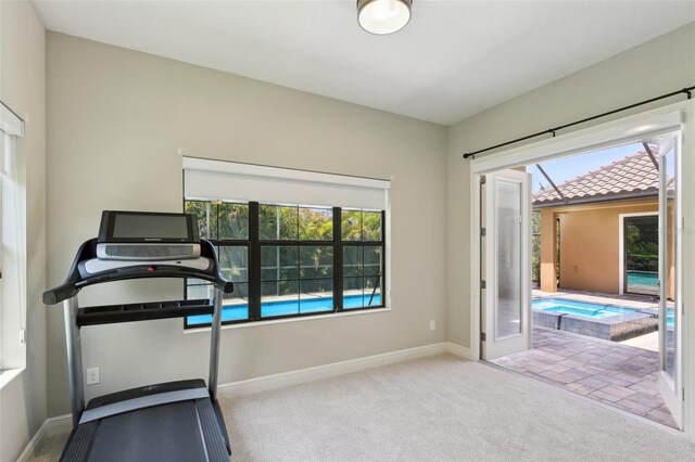 14715 Fishhawk Preserve Dr, Lithia, FL 33547 - exercise room with healthy amount of natural light, carpet floors, and baseboards