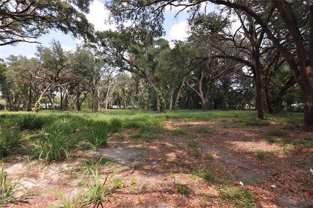 6734 20th St, Zephyrhills, FL 33542 - photo 1