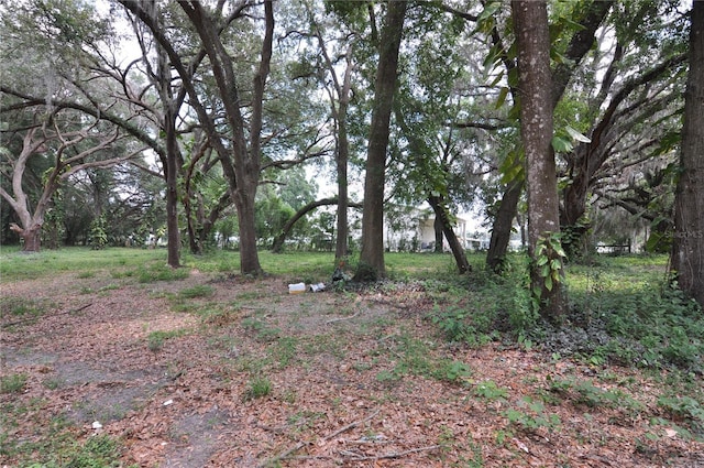 6734 20th St, Zephyrhills, FL 33542 - photo 2