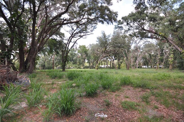 6734 20th St, Zephyrhills, FL 33542 - photo 3