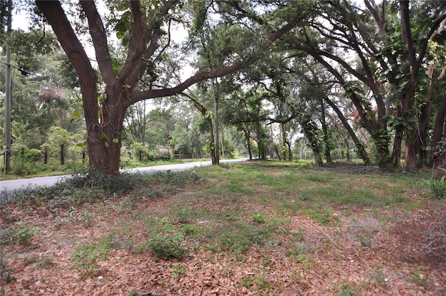 6734 20th St, Zephyrhills, FL 33542 - photo 4