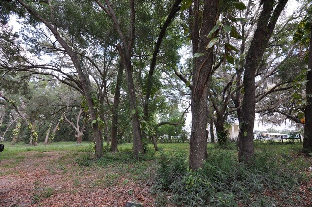 6734 20th St, Zephyrhills, FL 33542 - photo 6