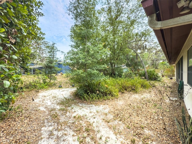 1228 Rainbrook Cir, Valrico, FL 33596 - view of yard