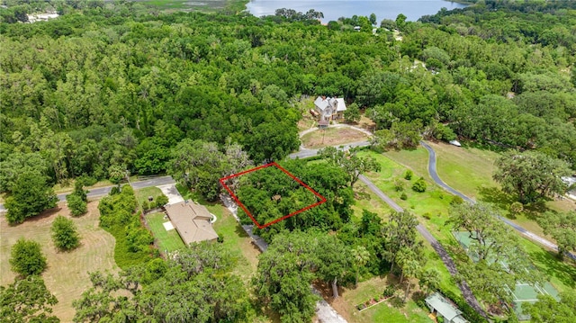 0 SE 128th Place Rd, Ocklawaha, FL 32179 - photo 11