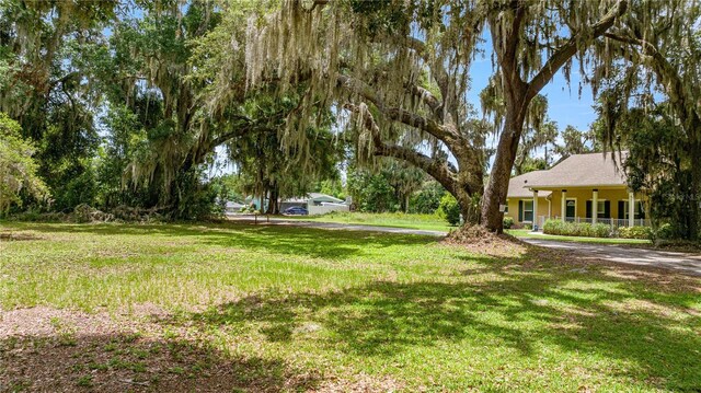 0 SE 128th Place Rd, Ocklawaha, FL 32179 - photo 12