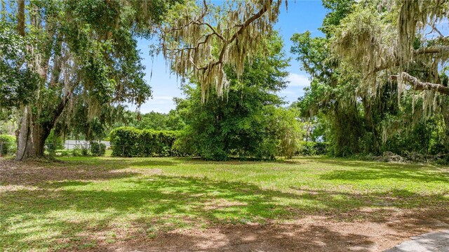 0 SE 128th Place Rd, Ocklawaha, FL 32179 - photo 13