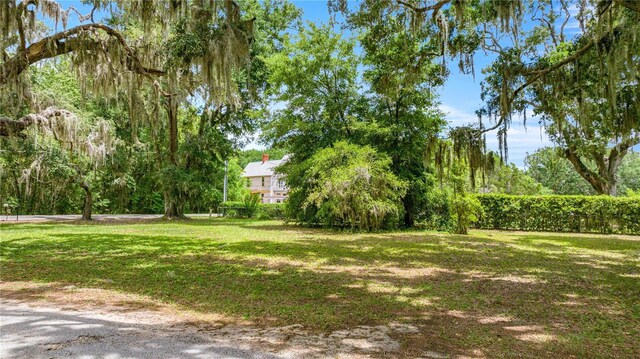 0 SE 128th Place Rd, Ocklawaha, FL 32179 - photo 14