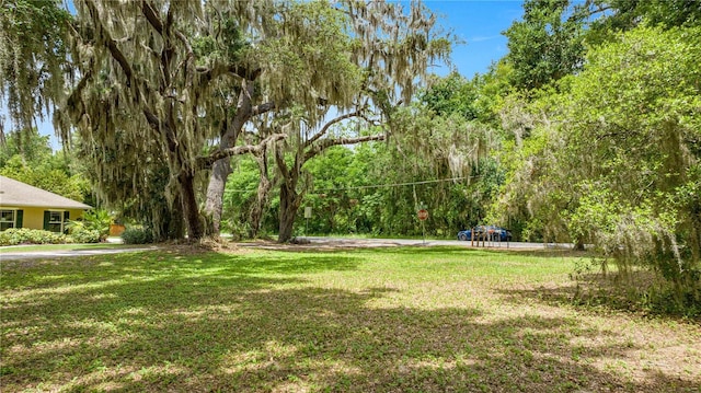 0 SE 128th Place Rd, Ocklawaha, FL 32179 - photo 15