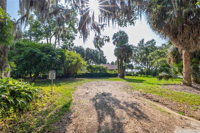 0 SE 128th Place Rd, Ocklawaha, FL 32179 - photo 7