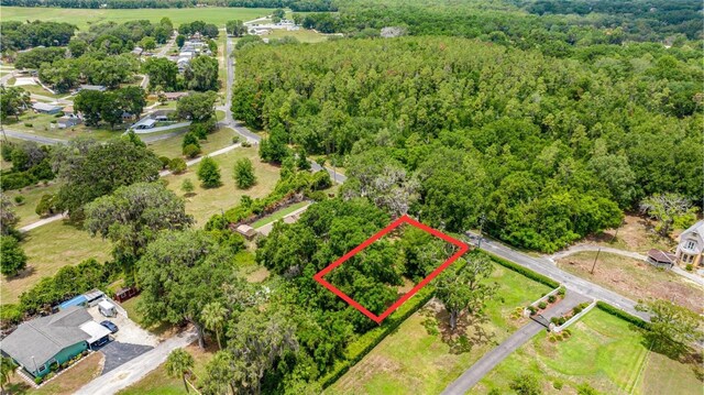 0 SE 128th Place Rd, Ocklawaha, FL 32179 - photo 9