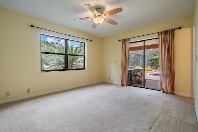 707 Warren Rd, Lutz, FL 33548 - unfurnished room featuring carpet, ceiling fan, a textured ceiling, and baseboards