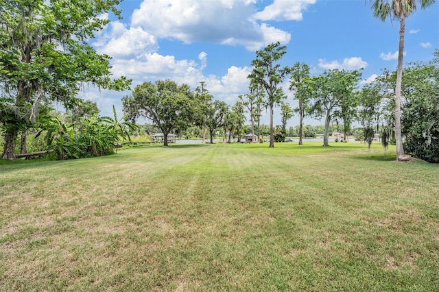 707 Warren Rd, Lutz, FL 33548 - view of grassy yard