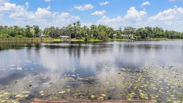 707 Warren Rd, Lutz, FL 33548 - water view