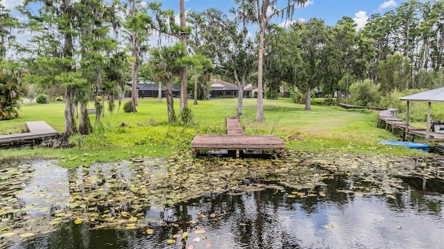 707 Warren Rd, Lutz, FL 33548 - dock area with a lawn, a water view, and view of wooded area