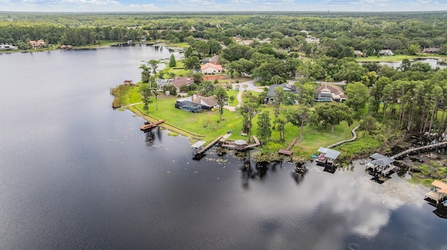 707 Warren Rd, Lutz, FL 33548 - aerial view of property's location featuring a heavily wooded area and a large body of water