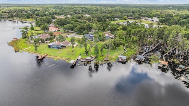 707 Warren Rd, Lutz, FL 33548 - aerial overview of property's location featuring a large body of water and a forest