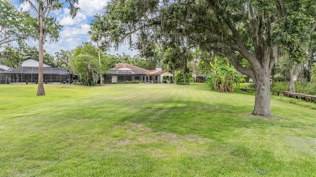 707 Warren Rd, Lutz, FL 33548 - view of green lawn
