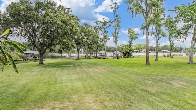 707 Warren Rd, Lutz, FL 33548 - view of grassy yard with a water view and view of golf course