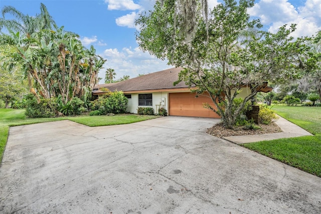 707 Warren Rd, Lutz, FL 33548 - ranch-style house featuring a garage, a front lawn, driveway, and stucco siding