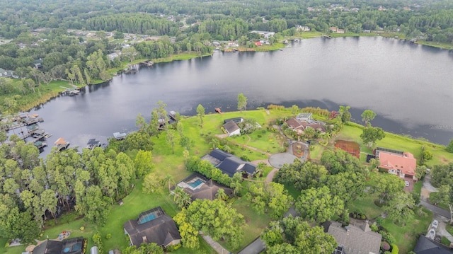 707 Warren Rd, Lutz, FL 33548 - aerial view of property and surrounding area with a nearby body of water and a heavily wooded area