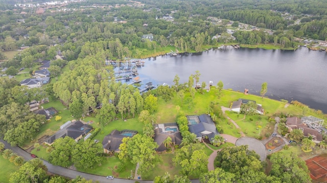 707 Warren Rd, Lutz, FL 33548 - aerial overview of property's location with a large body of water and a forest