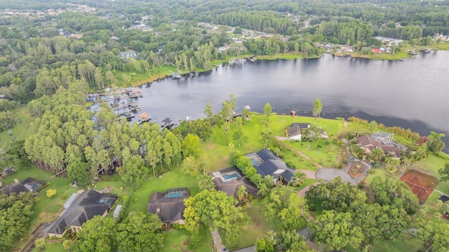 707 Warren Rd, Lutz, FL 33548 - view of property location featuring a large body of water and a heavily wooded area