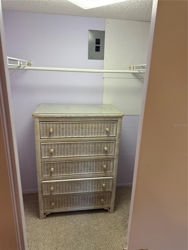 3534 Lake Bayshore Dr Unit 118, Bradenton, FL 34205 - detailed view of electric panel, carpet flooring, and a textured ceiling