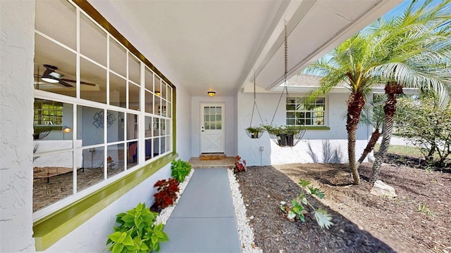 829 Riverside Dr, Tarpon Springs, FL 34689 - doorway to property featuring stucco siding