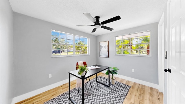 829 Riverside Dr, Tarpon Springs, FL 34689 - home office with a ceiling fan, baseboards, wood finished floors, and a textured ceiling