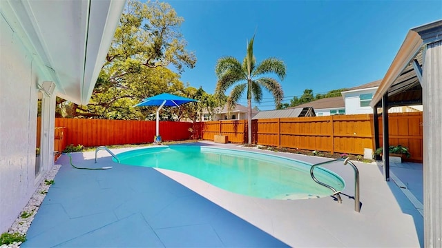 829 Riverside Dr, Tarpon Springs, FL 34689 - view of pool featuring a fenced backyard and a patio area