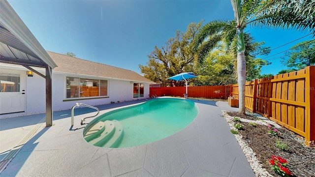 829 Riverside Dr, Tarpon Springs, FL 34689 - view of pool featuring a patio and a fenced backyard