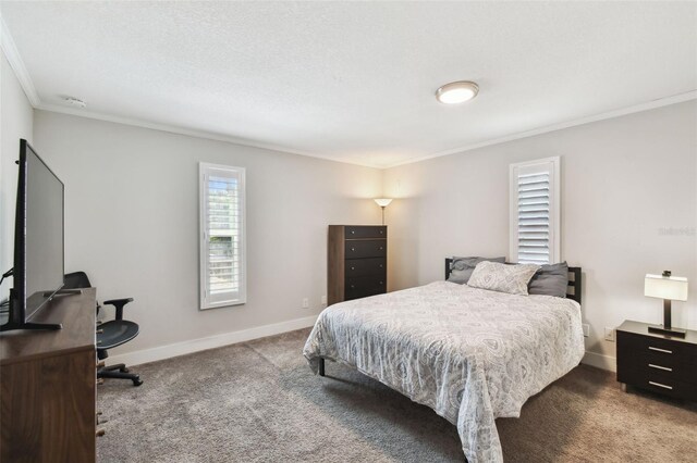 4203 W Cleveland St, Tampa, FL 33609 - photo 23
